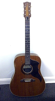 EKO Ranger 6 string